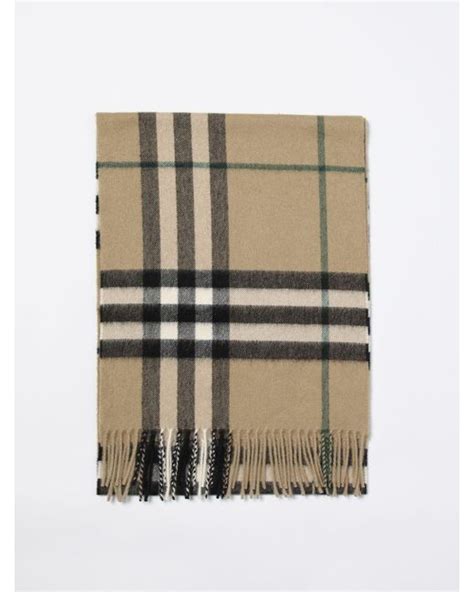 burberry multicolor scarf|burberry scarf for men.